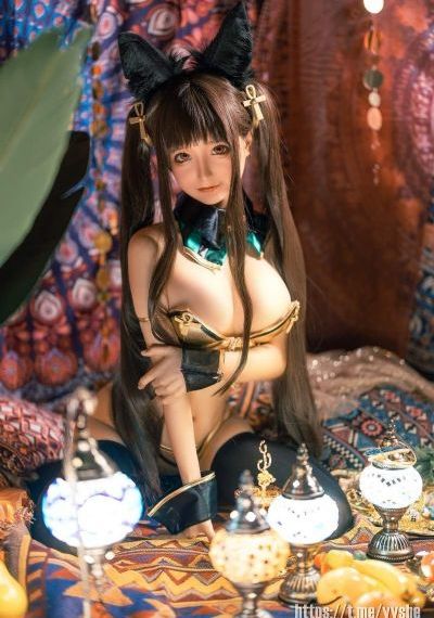 天鹅影视免费追剧