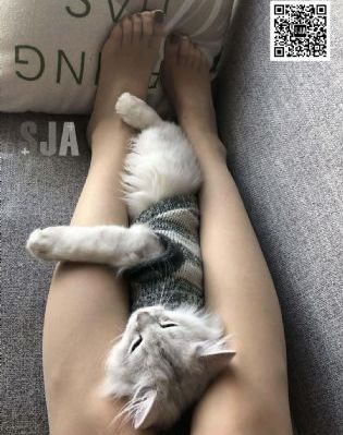 好兄弟8免费完整电影观看