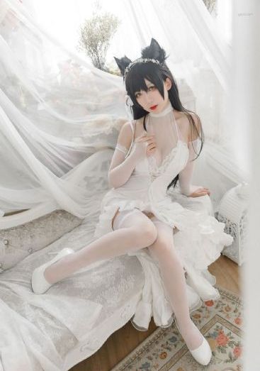 女律师的堕落hd三级